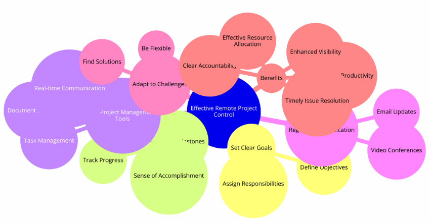 Ensuring Effective Remote Project Control